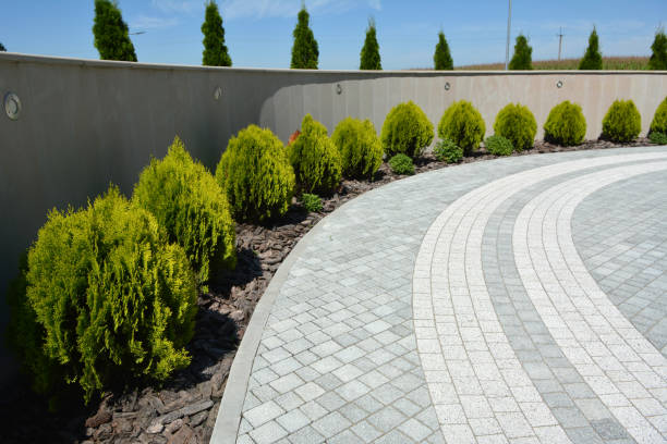 Best Residential Paver Driveway  in Riverview, MI